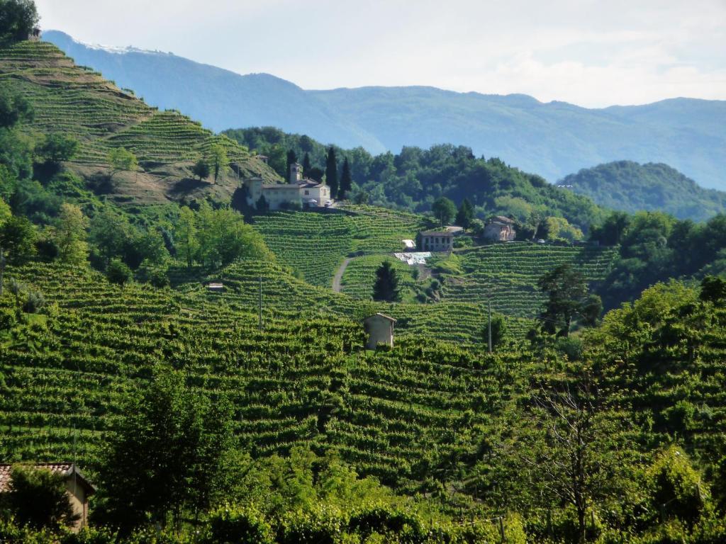 Locanda Ai Archi Di Andreola Monica Фарра-ди-Солиго Экстерьер фото